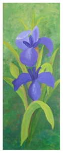 Small Blue Irises